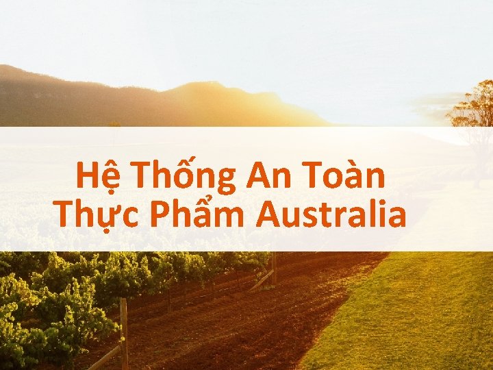 Hệ Thống An Toàn Thực Phẩm Australia 1 