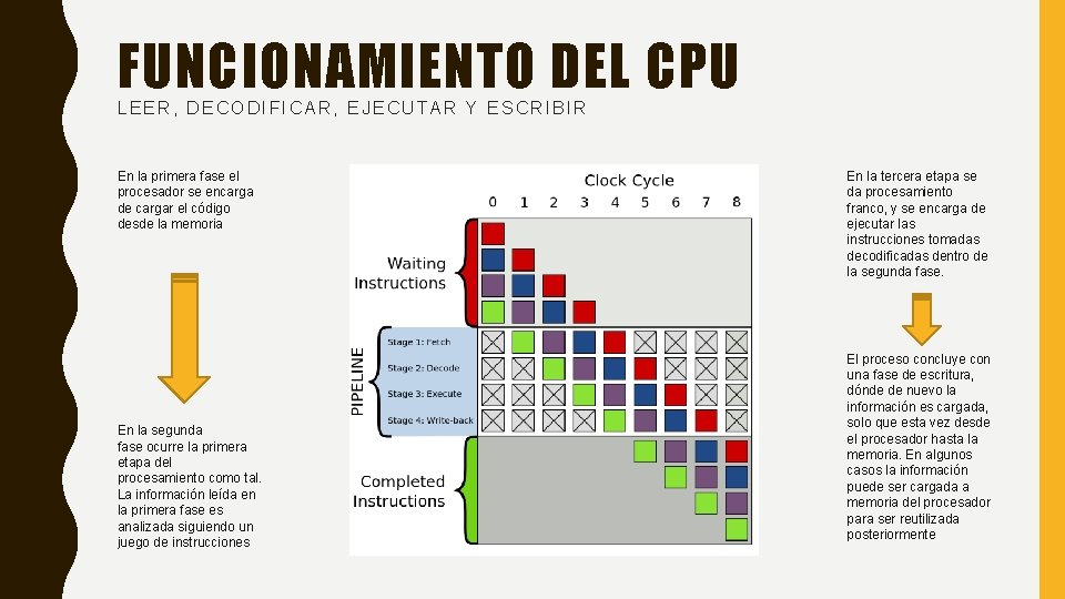 FUNCIONAMIENTO DEL CPU LEER, DECODIFICAR, EJECUTAR Y ESCRIBIR En la primera fase el procesador FUNCIONAMIENTO DEL CPU LEER, DECODIFICAR, EJECUTAR Y ESCRIBIR En la primera fase el procesador