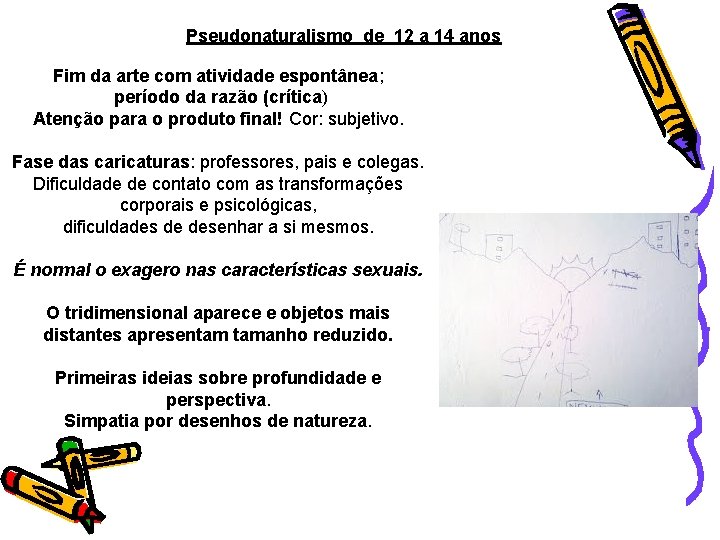 Pseudonaturalismo de 12 a 14 anos Fim da arte com atividade espontânea; período da