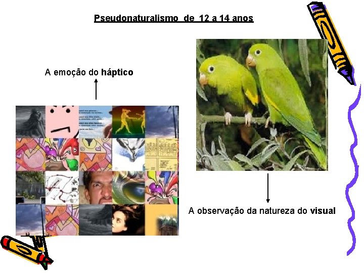 Pseudonaturalismo de 12 a 14 anos A emoção do háptico A observação da natureza