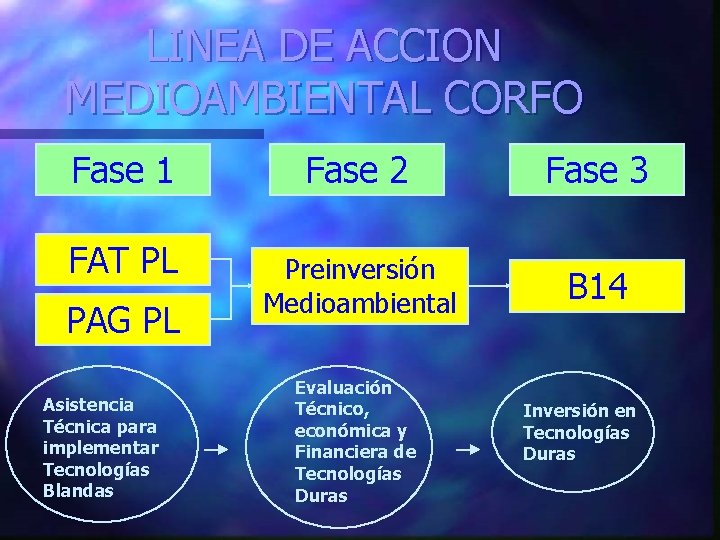 LINEA DE ACCION MEDIOAMBIENTAL CORFO Fase 1 FAT PL PAG PL Asistencia Técnica para