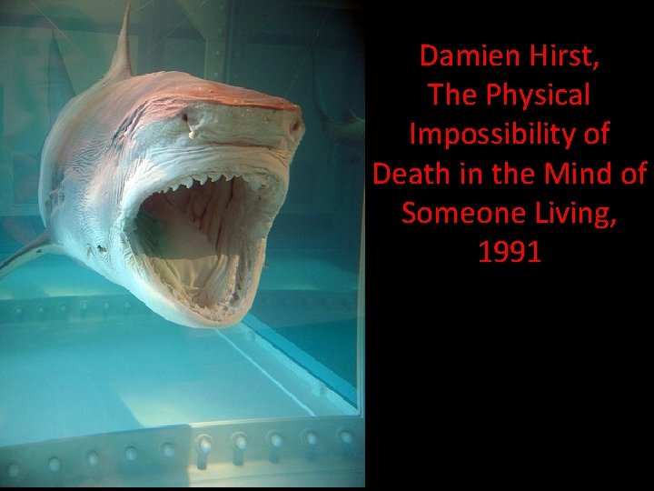 Damien Hirst, The Physical Impossibility of Death in the Mind of Someone Living, 1991