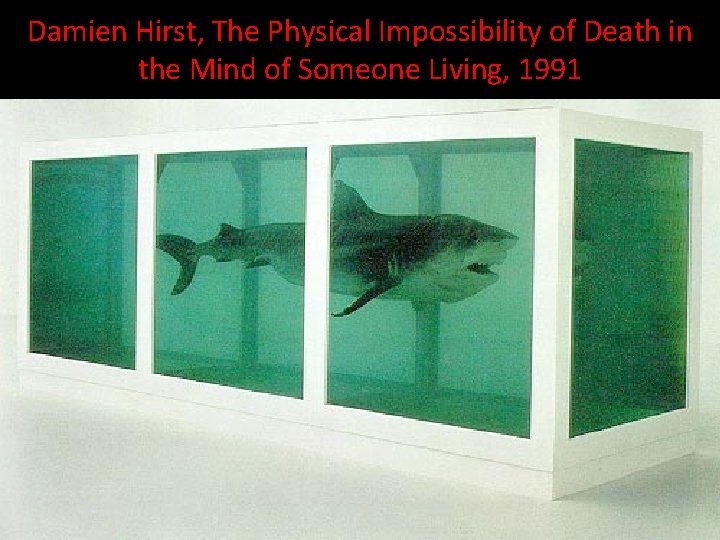 Damien Hirst, The Physical Impossibility of Death in the Mind of Someone Living, 1991