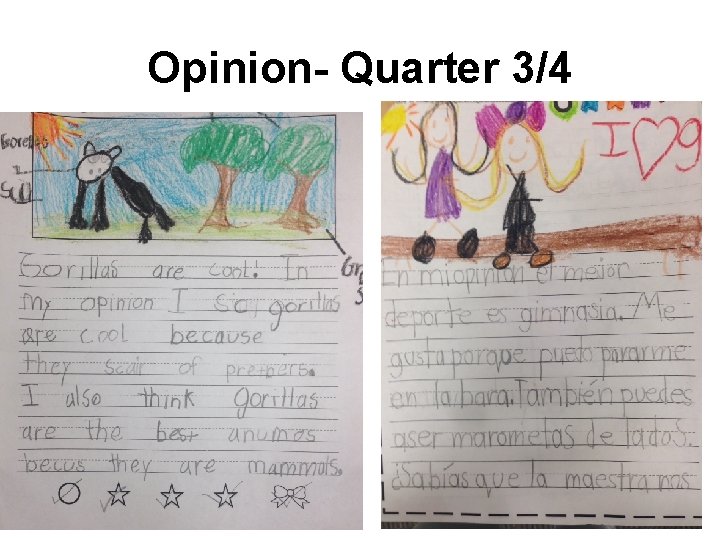 Opinion- Quarter 3/4 