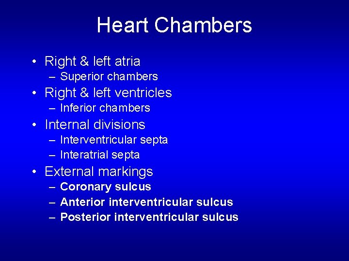 Heart Chambers • Right & left atria – Superior chambers • Right & left Heart Chambers • Right & left atria – Superior chambers • Right & left