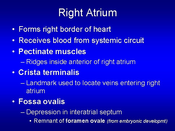 Right Atrium • Forms right border of heart • Receives blood from systemic circuit Right Atrium • Forms right border of heart • Receives blood from systemic circuit