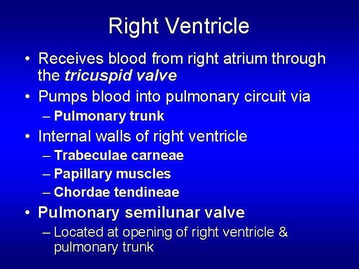 Right Ventricle • Receives blood from right atrium through the tricuspid valve • Pumps Right Ventricle • Receives blood from right atrium through the tricuspid valve • Pumps