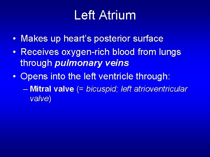 Left Atrium • Makes up heart’s posterior surface • Receives oxygen-rich blood from lungs Left Atrium • Makes up heart’s posterior surface • Receives oxygen-rich blood from lungs