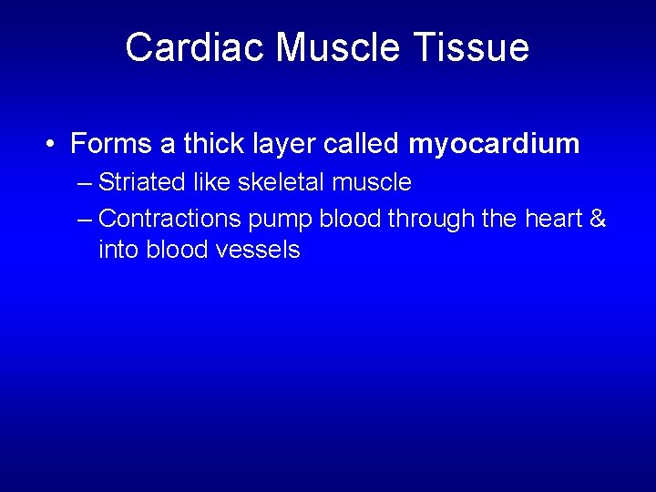 Cardiac Muscle Tissue • Forms a thick layer called myocardium – Striated like skeletal Cardiac Muscle Tissue • Forms a thick layer called myocardium – Striated like skeletal