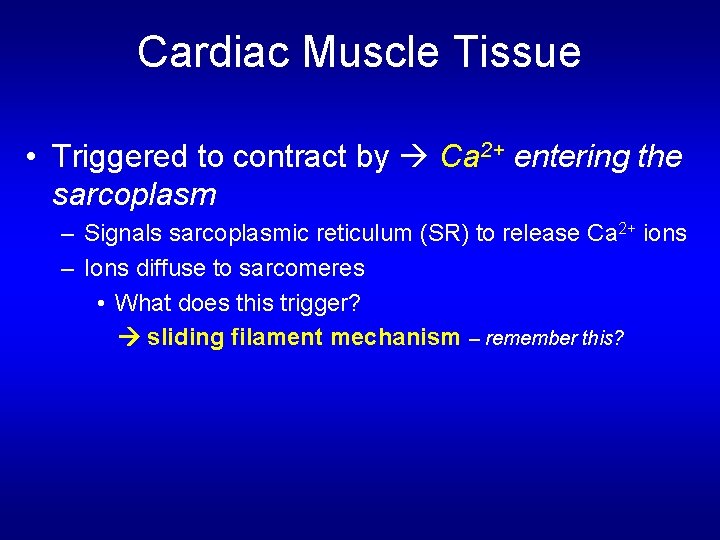 Cardiac Muscle Tissue • Triggered to contract by Ca 2+ entering the sarcoplasm – Cardiac Muscle Tissue • Triggered to contract by Ca 2+ entering the sarcoplasm –