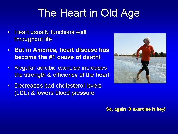 The Heart in Old Age • Heart usually functions well throughout life • But The Heart in Old Age • Heart usually functions well throughout life • But