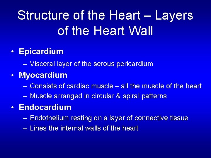 Structure of the Heart – Layers of the Heart Wall • Epicardium – Visceral Structure of the Heart – Layers of the Heart Wall • Epicardium – Visceral