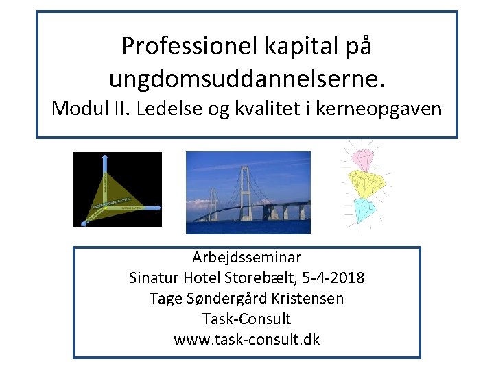 Professionel kapital på ungdomsuddannelserne. Modul II. Ledelse og kvalitet i kerneopgaven Arbejdsseminar Sinatur Hotel Professionel kapital på ungdomsuddannelserne. Modul II. Ledelse og kvalitet i kerneopgaven Arbejdsseminar Sinatur Hotel