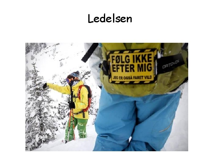 Ledelsen Ledelsen