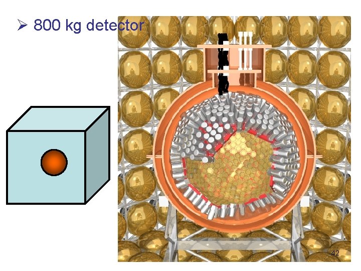 Ø 800 kg detector 42 
