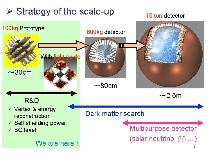 Ø Strategy of the scale-up 100 kg Prototype 10 ton detector 800 kg detector