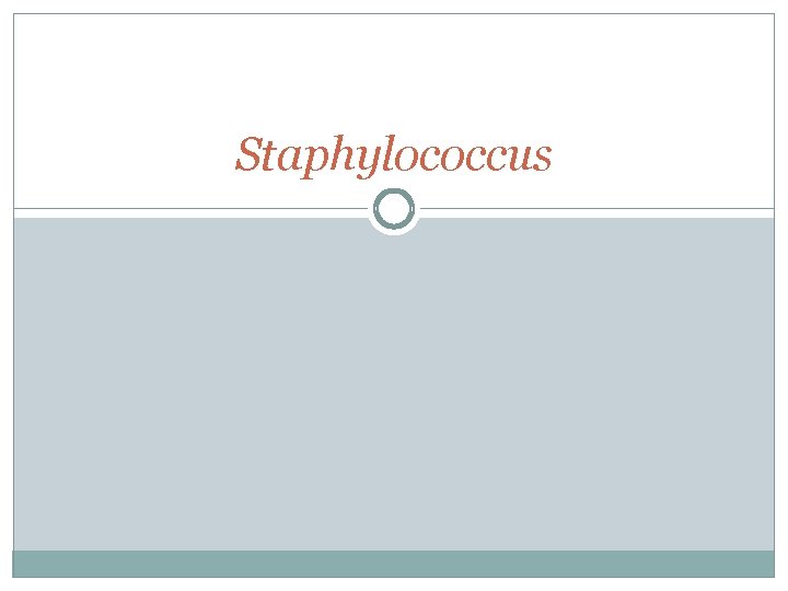 Staphylococcus 