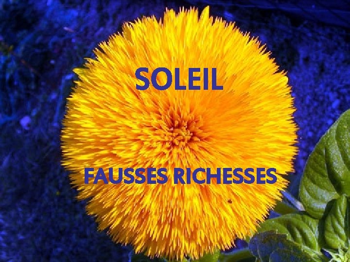 SOLEIL FAUSSES RICHESSES 