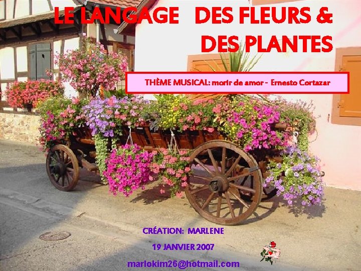 LE LANGAGE DES FLEURS & DES PLANTES THÈME MUSICAL: morir de amor - Ernesto