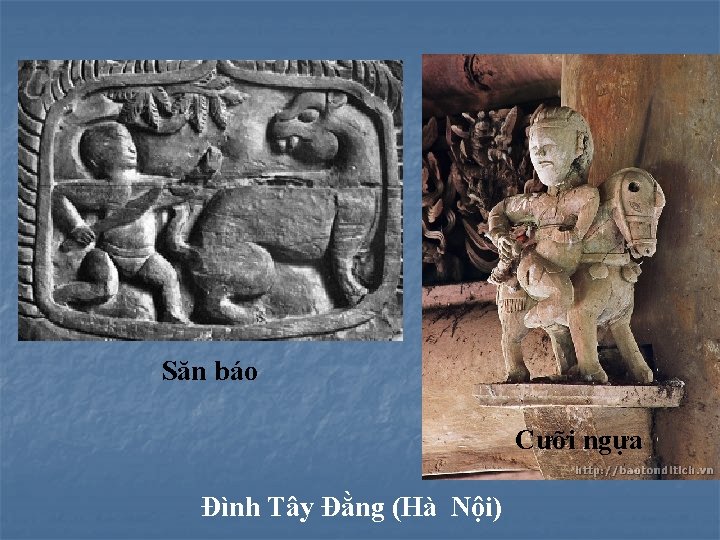 Săn báo Cưỡi ngựa Đình Tây Đằng (Hà Nội) 