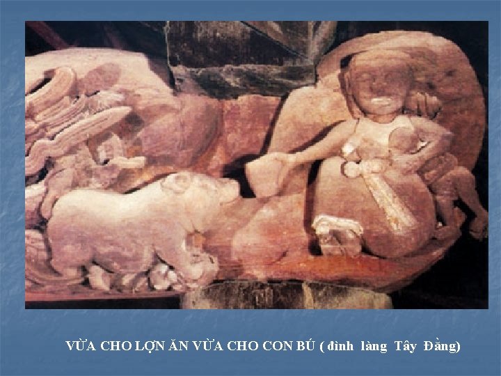 VỪA CHO LỢN ĂN VỪA CHO CON BÚ ( đình làng Tây Đằng) 