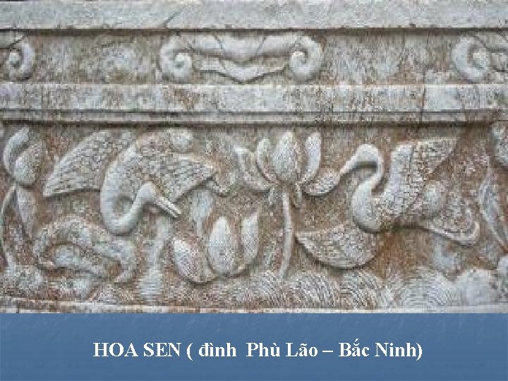 HOA SEN ( đình Phù Lão – Bắc Ninh) 