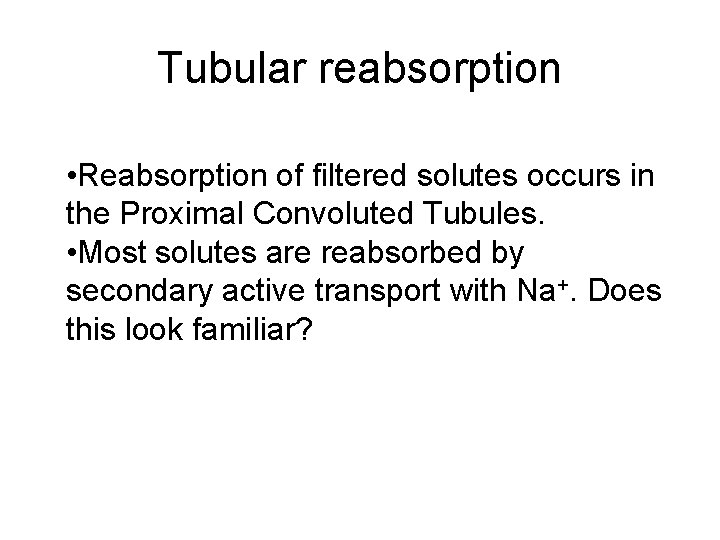 Tubular reabsorption • Reabsorption of filtered solutes occurs in the Proximal Convoluted Tubules. • Tubular reabsorption • Reabsorption of filtered solutes occurs in the Proximal Convoluted Tubules. •
