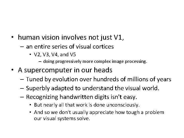  • human vision involves not just V 1, – an entire series of