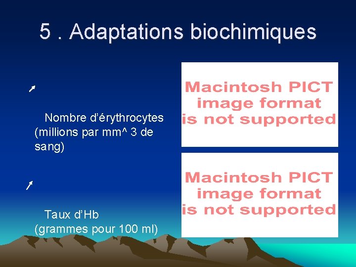 5. Adaptations biochimiques Nombre d’érythrocytes (millions par mm^ 3 de sang) Taux d’Hb (grammes