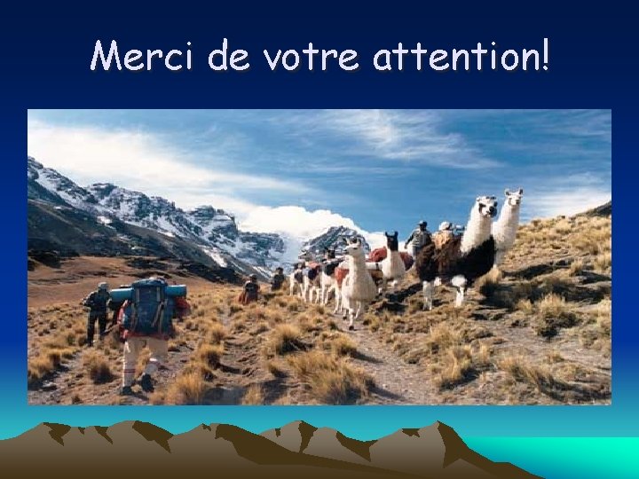 Merci de votre attention! 