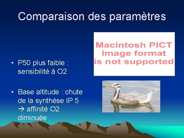 Comparaison des paramètres • P 50 plus faible : sensibilité à O 2 •