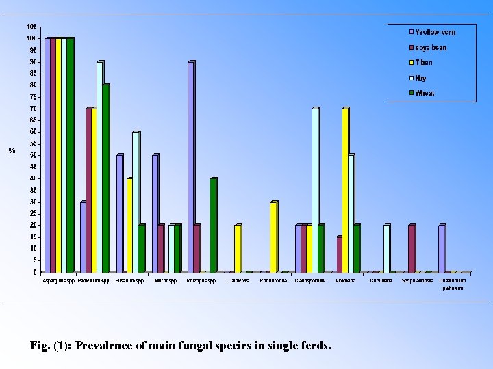 % Fig. (1): Prevalence of main fungal species in single feeds. 