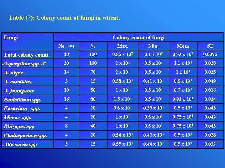 Table (7): Colony count of fungi in wheat. Fungi Colony count of fungi No.