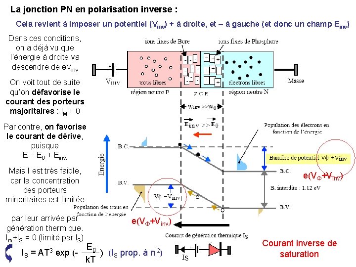 La jonction PN en polarisation inverse : Cela revient à imposer un potentiel (Vinv)