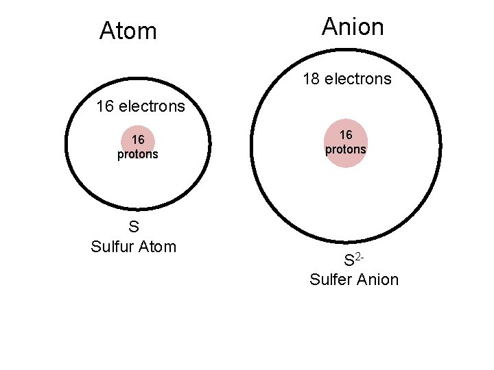 Atom Anion 18 electrons 16 protons S Sulfur Atom 16 protons S 2 Sulfer