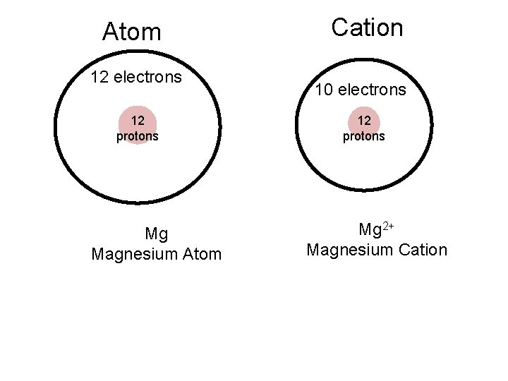 Atom 12 electrons 12 protons Mg Magnesium Atom Cation 10 electrons 12 protons Mg