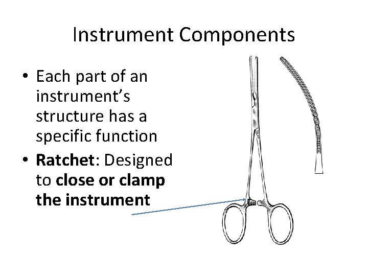 Instrument Components • Each part of an instrument’s structure has a specific function •