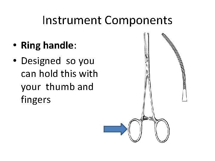 Instrument Components • Ring handle: • Designed so you can hold this with your
