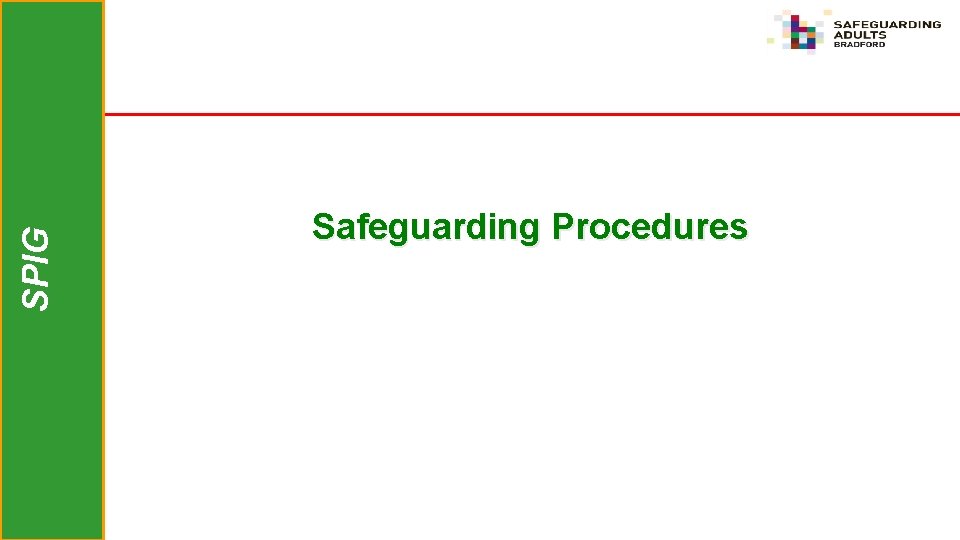 SPIG Safeguarding Procedures 