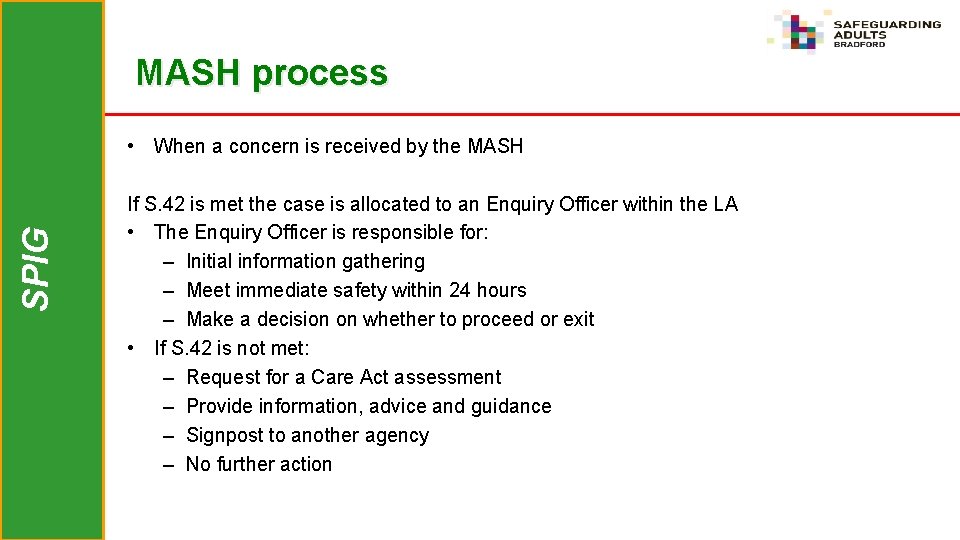 MASH process SPIG • When a concern is received by the MASH If S.