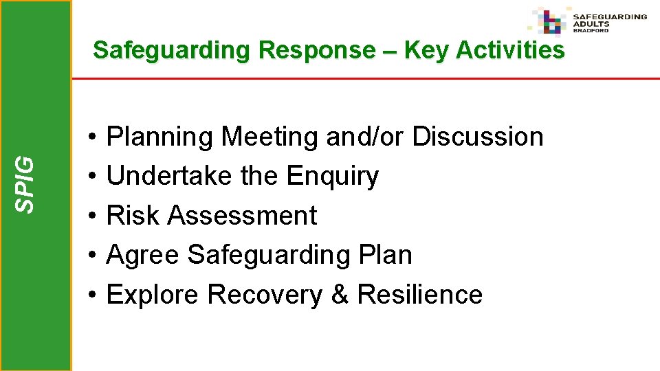 SPIG Safeguarding Response – Key Activities • • • Planning Meeting and/or Discussion Undertake