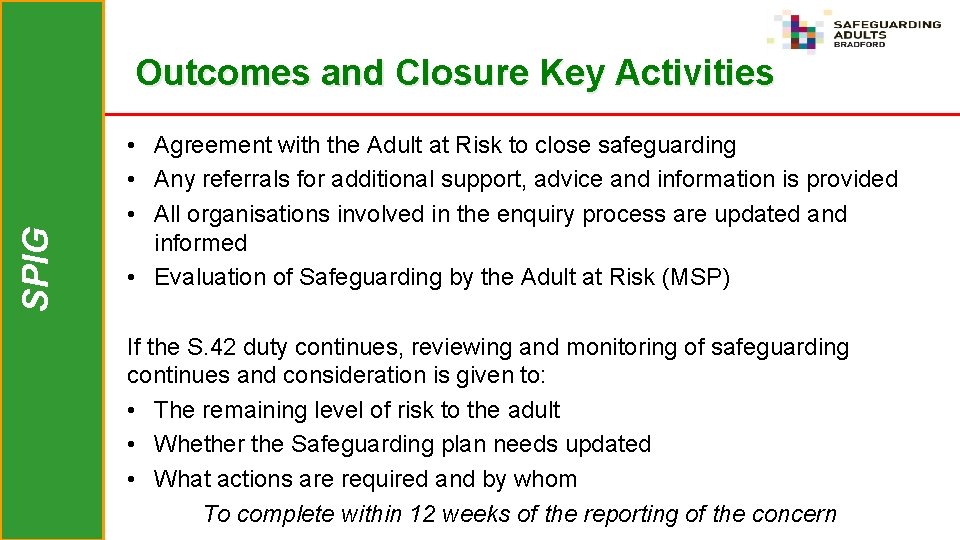 SPIG Outcomes and Closure Key Activities • Agreement with the Adult at Risk to