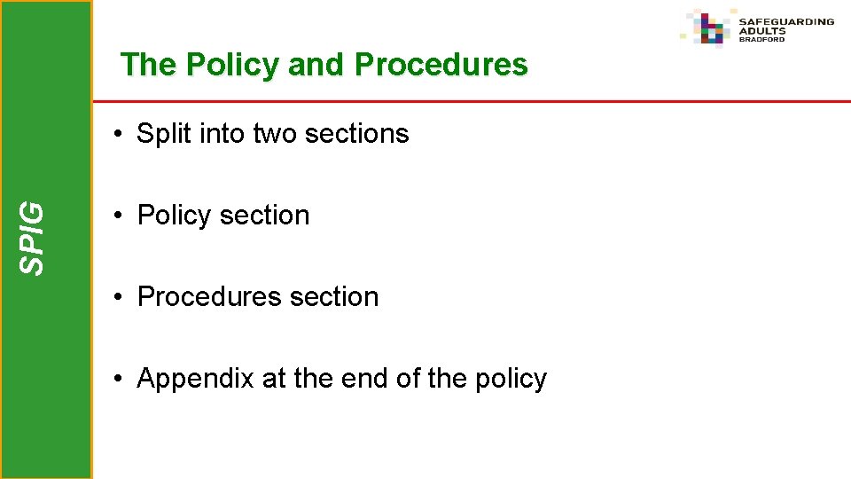 The Policy and Procedures SPIG • Split into two sections • Policy section •