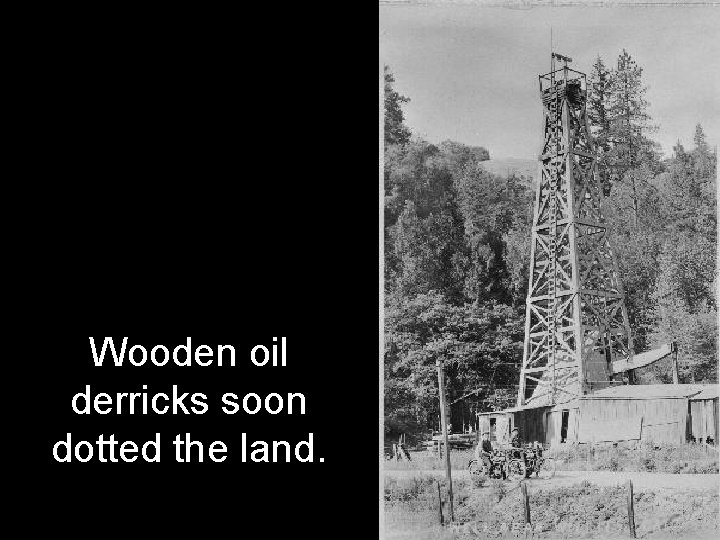 Wooden oil derricks soon dotted the land. 