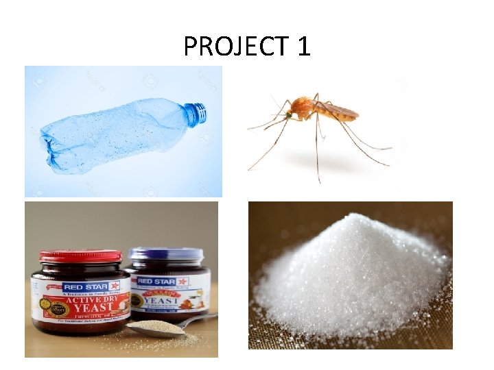 PROJECT 1 PROJECT 1