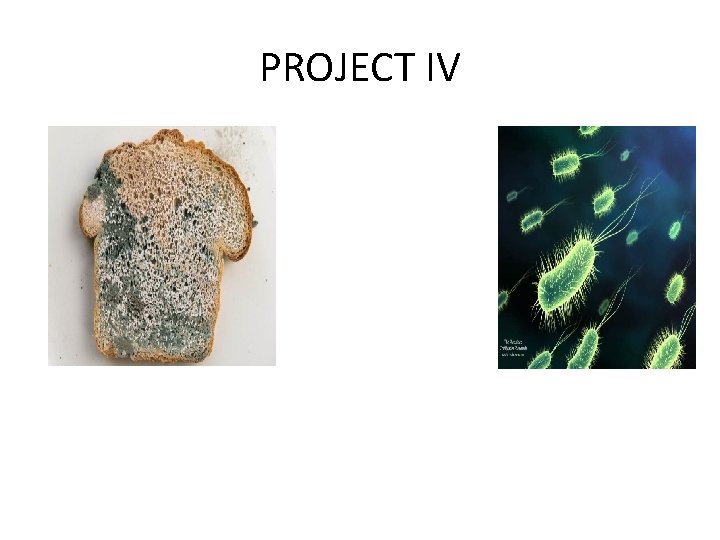 PROJECT IV PROJECT IV