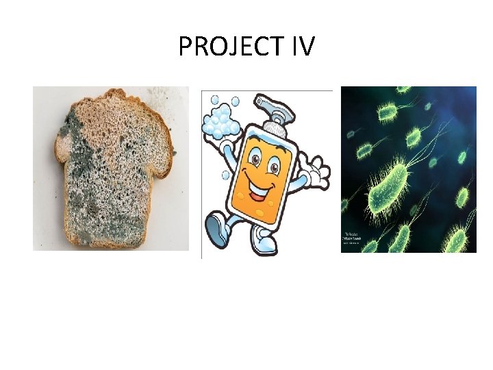 PROJECT IV PROJECT IV