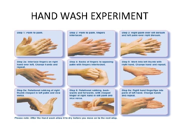 HAND WASH EXPERIMENT HAND WASH EXPERIMENT