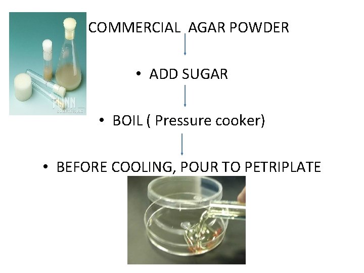 • COMMERCIAL AGAR POWDER • ADD SUGAR • BOIL ( Pressure cooker) • • COMMERCIAL AGAR POWDER • ADD SUGAR • BOIL ( Pressure cooker) •