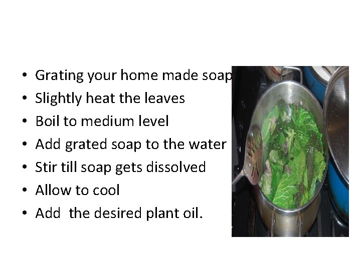 • • Grating your home made soap Slightly heat the leaves Boil to • • Grating your home made soap Slightly heat the leaves Boil to